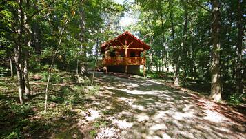 A wooden cabin with a porch, surrounded by trees and a forest floor.