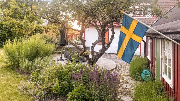 Een tuin met een vlag, een boom en een gebouw.