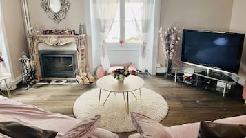 Télévision, cheminée, jeux vidéo, lecteur de DVD