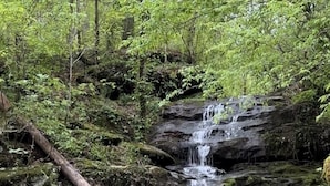 Terrain de l’hébergement