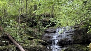 Property grounds - G-2 Glamp in Bohamia - 268 Acre Forest Retreat (Talladega County)