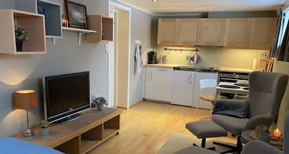 Apartment centrally located between Sandefjord and Torp Airport