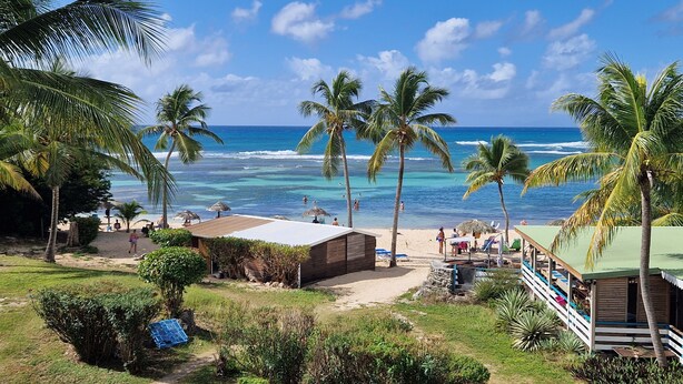 A beach view with palm trees, a wooden structure, and a pool area.