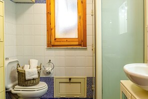 Shower, hair dryer, bidet, towels