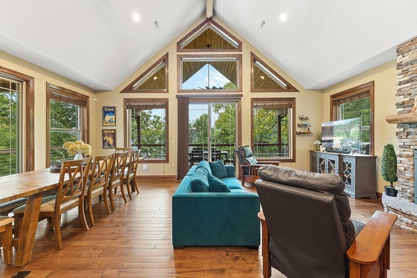 Televisor intel·ligent, llar de foc i llibres