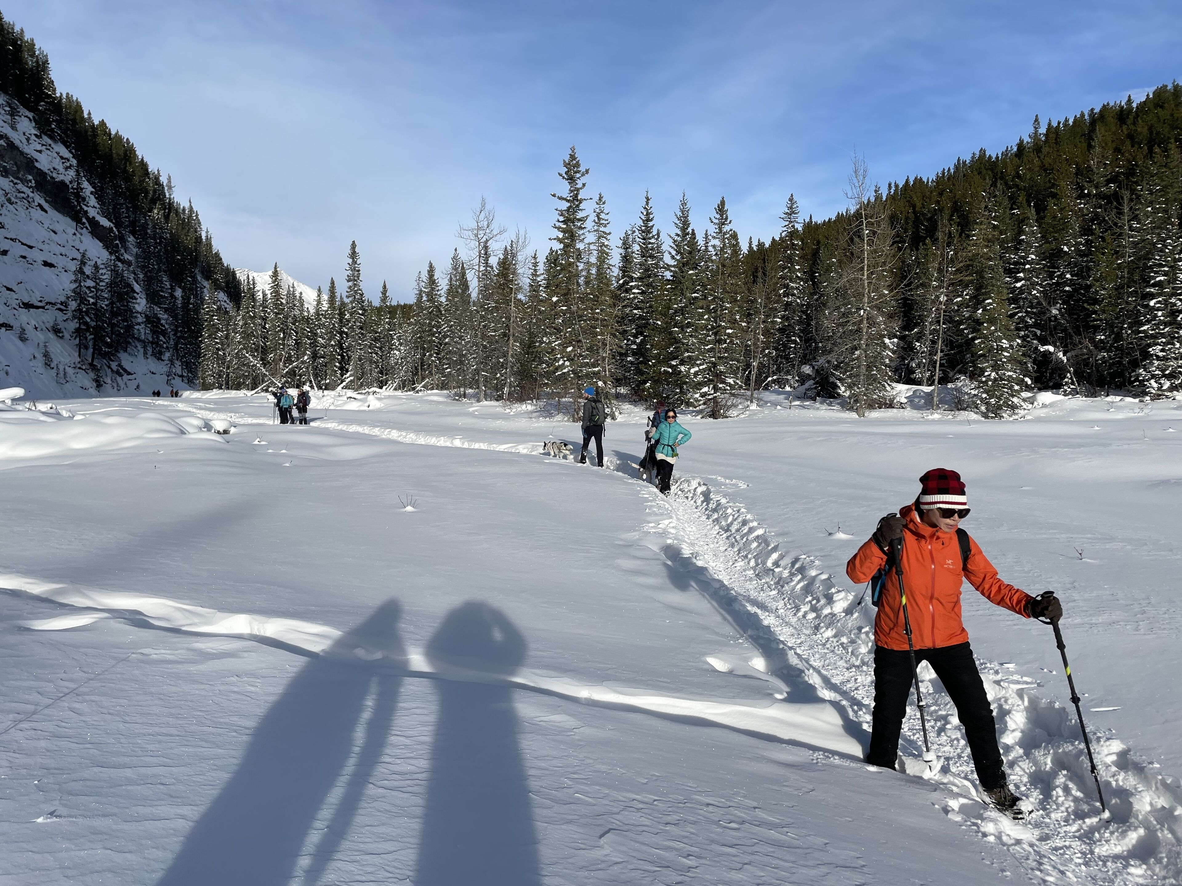 Schneebedeckte Landschaft mit Personen, die Langlaufski fahren.