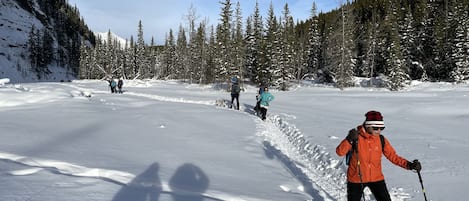Schneebedeckte Landschaft mit Personen, die Langlaufski fahren.
