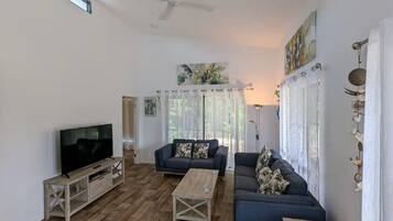 Smart TV, reproductor de DVD, libros, videoteca