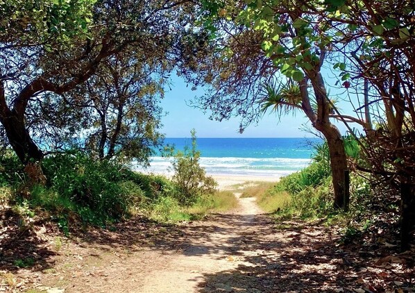 Toallas de playa