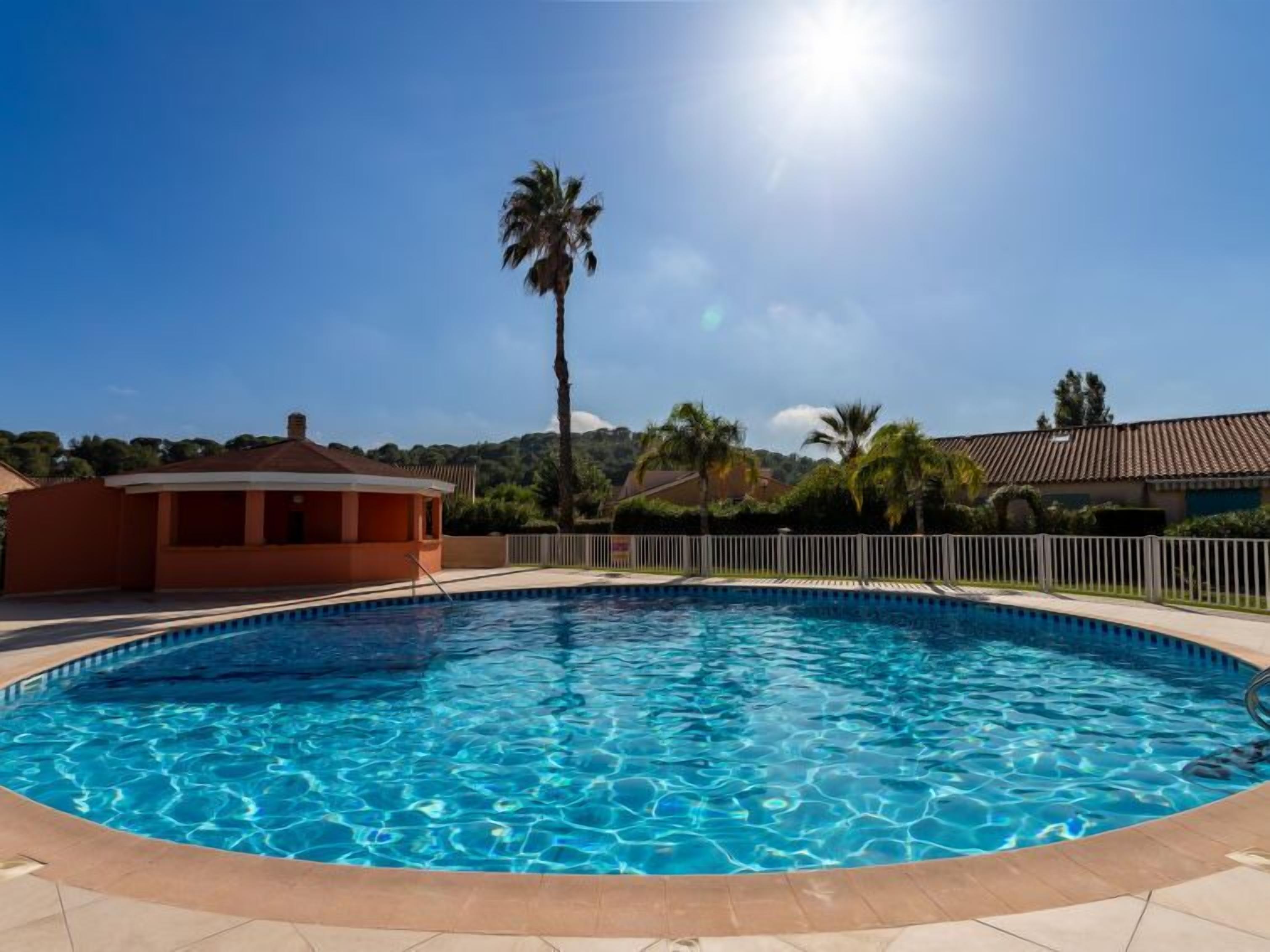 A clear blue swimming pool with a tiled border, surrounded by a white fence and palm trees.