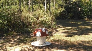 Terrein van de accommodatie