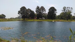 Un lago tranquilo con una fuente en el centro, rodeado de árboles y algunos edificios al fondo.