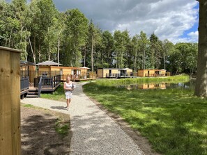 Cabin | Property grounds