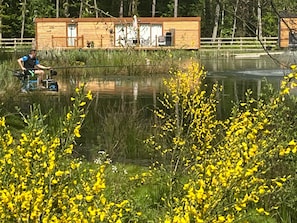 Ferienhütte | Unterkunftsgelände