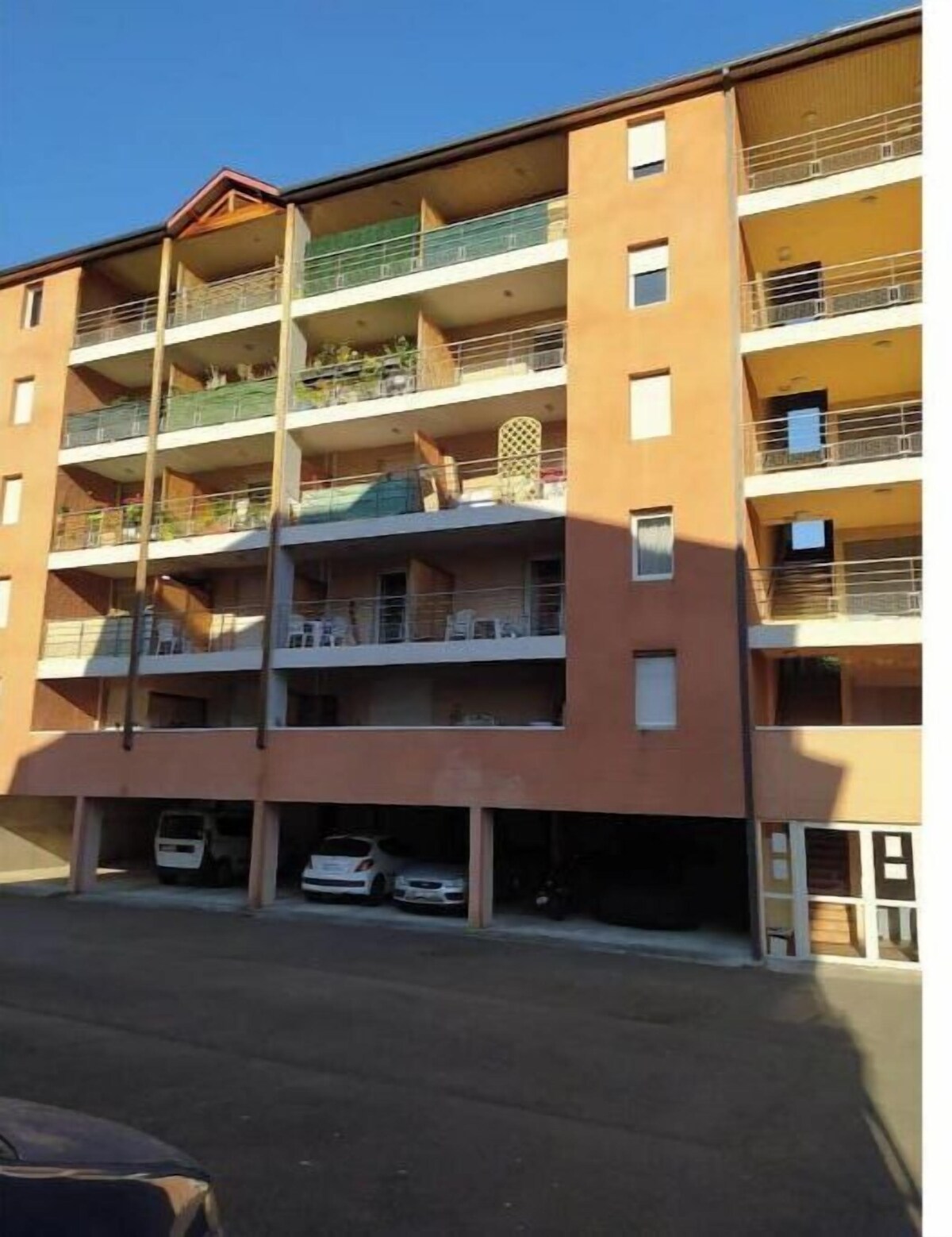 Imagen de perfil del propietario o de la propietaria