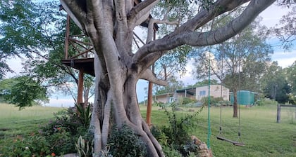 Rural Guesthouse - Pine Mountain