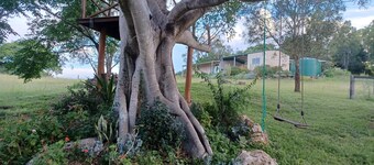 Rural Guesthouse - Pine Mountain
