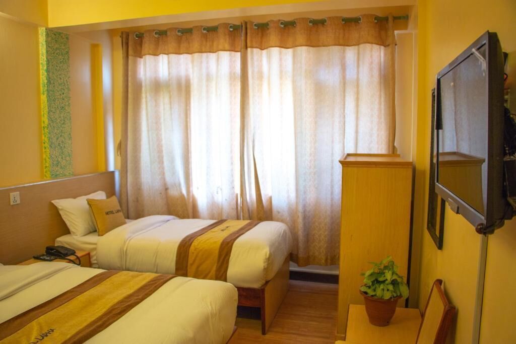 A hotel room with two beds, a television, and a potted plant.