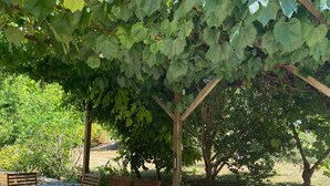 A wooden deck with a table and chairs under a pergola covered with grapevines. - Character villa for rent (Le Roc)
