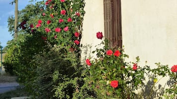 Details aan de buitenkant