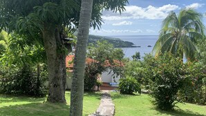 A pathway leading to a coastal view with palm trees and a stone wall.