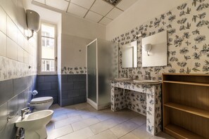 Shower, hair dryer, bidet, towels