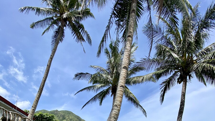 Tongatok Cliff Resort