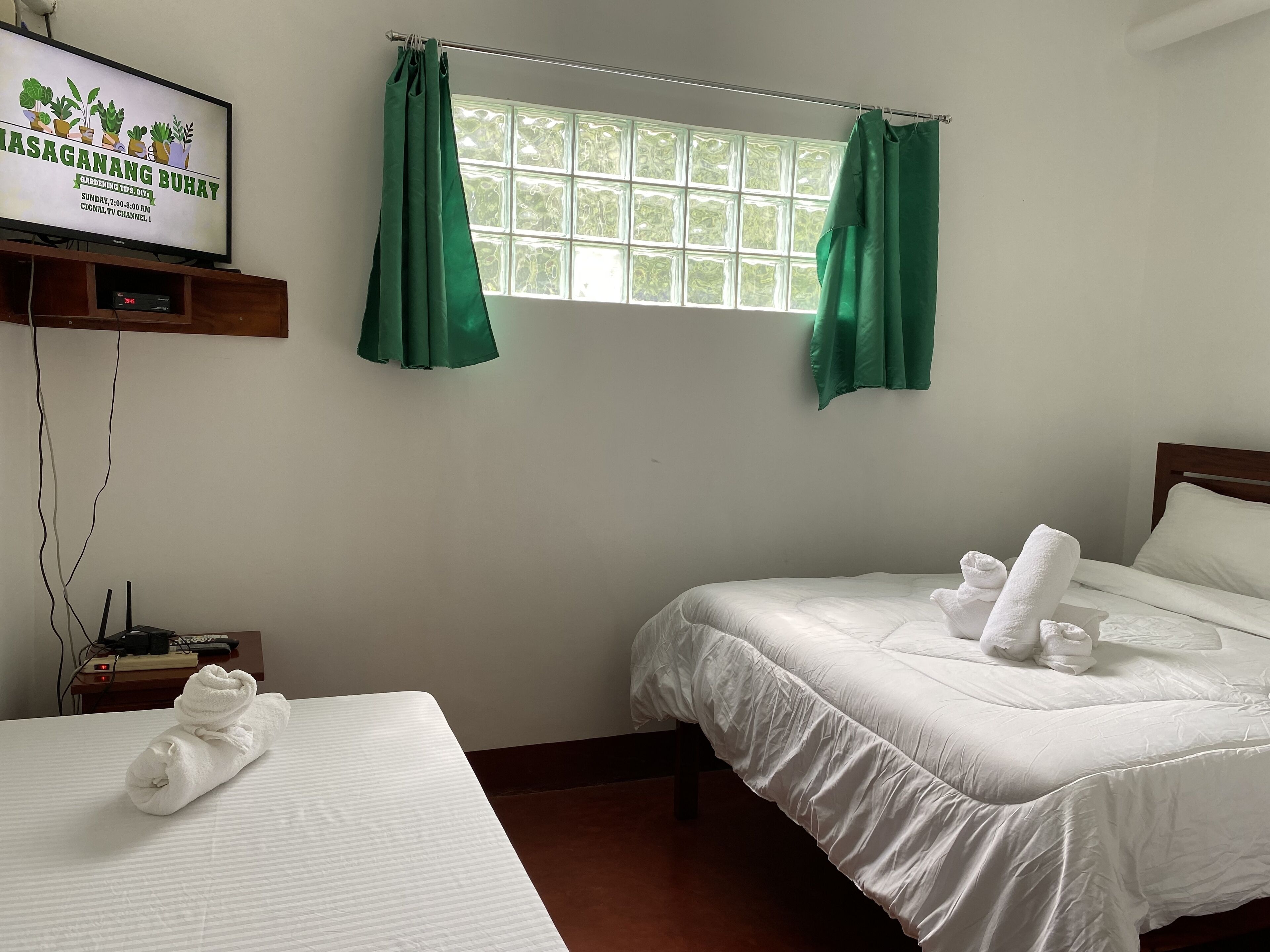 A hotel room with two beds, a TV displaying a gardening program, and green curtains.