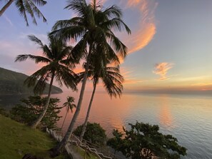 A coastal landscape with palm trees and a view of the sea during sunset.