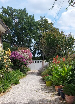 Terrain de l’hébergement 