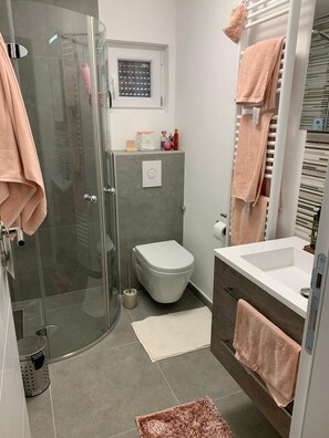 Shower, hair dryer, slippers, towels