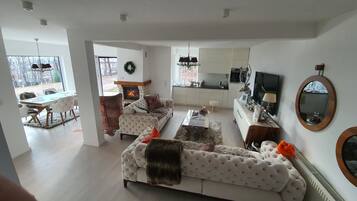 Smart TV, fireplace, stereo