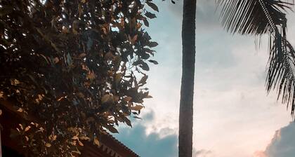 Nature surrounded villa,in a vanilla organic orchard..