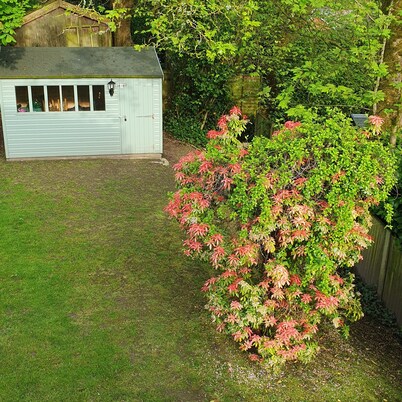 Totally private apartment in family setting, not shared