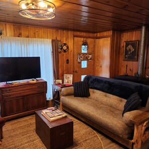 Smart TV, books - Tawas, Oscoda, National City, Sand Lake Cabin (National City)