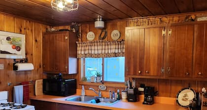 Tawas City, National City, Sand Lake Cabin