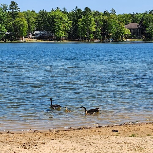 Tawas, Oscoda, National City, Sand Lake Cabin