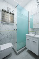 A modern bathroom with a glass shower enclosure, a toilet, a sink, and a mirror.