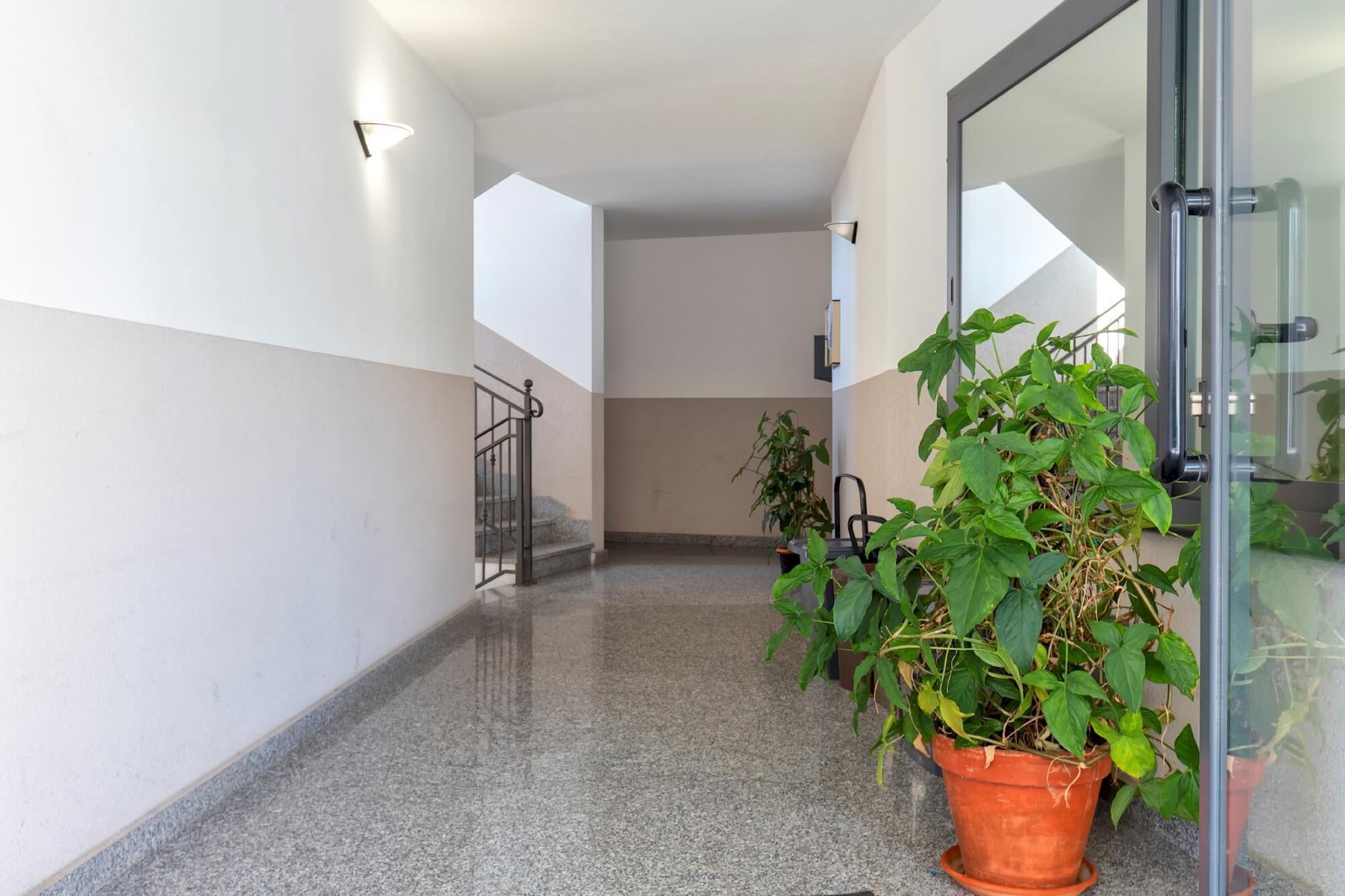 Un pasillo con puerta de vidrio, una planta en maceta y una barandilla de metal.