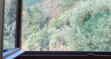 Bed and breakfast Centre Corse 2