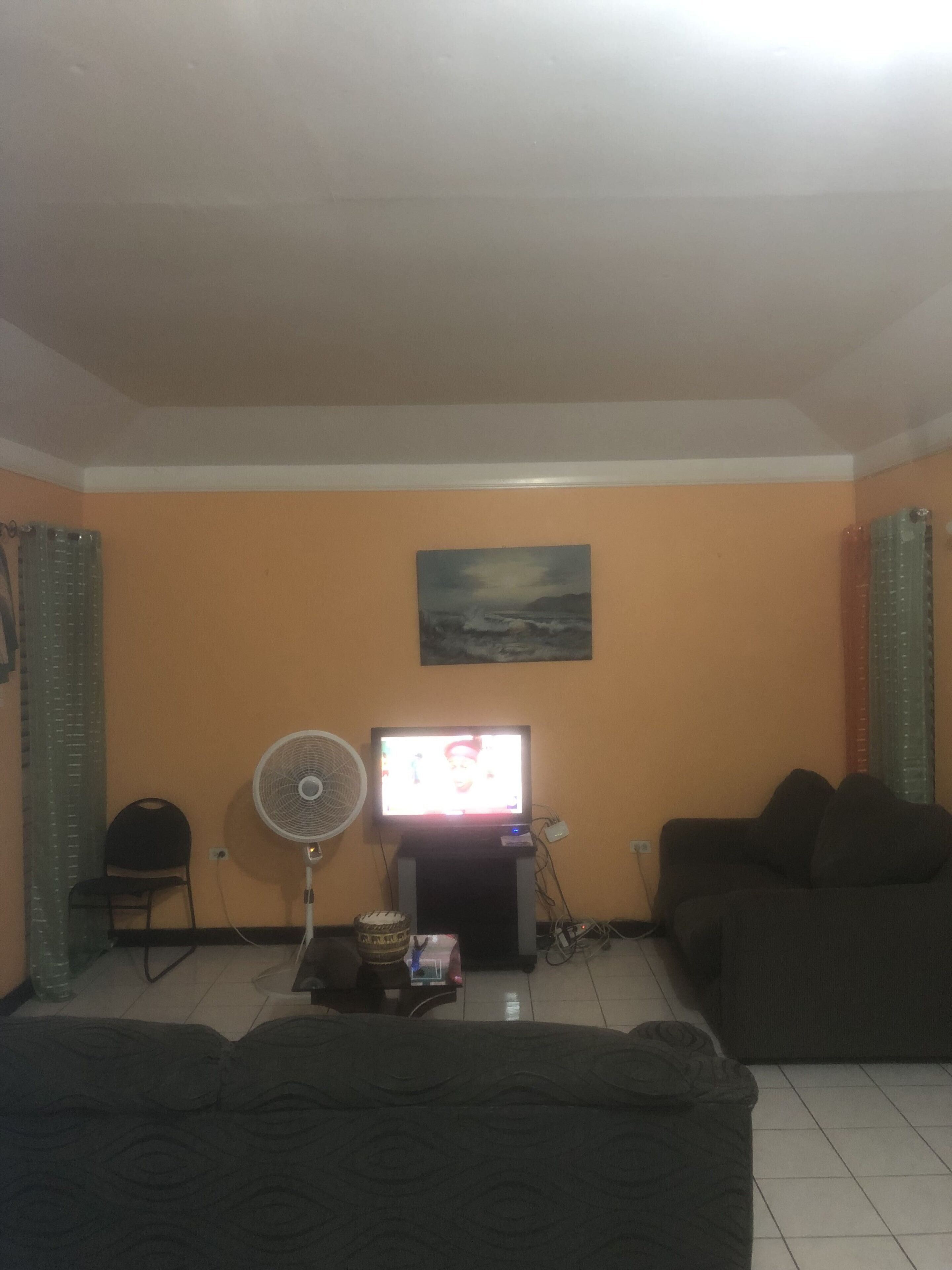 Una sala de estar con televisor, ventilador, sofá y un cuadro en la pared.