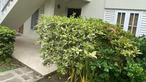 Um edifício com escadaria, entrada coberta e área de jardim com diversas plantas.