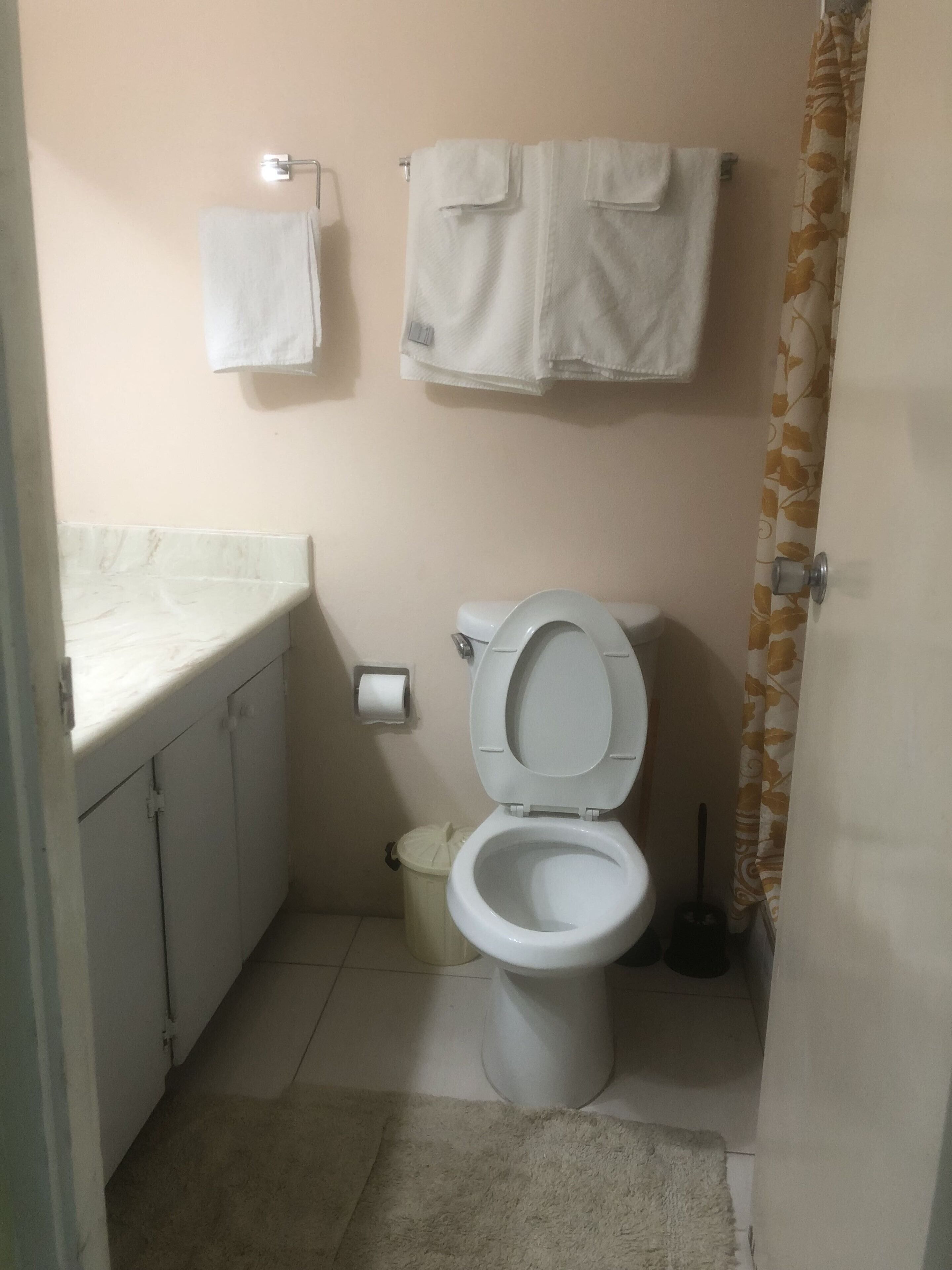 A small bathroom with a toilet, a sink, and a shower curtain.