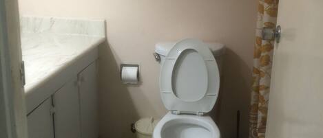 A small bathroom with a toilet, a sink, and a shower curtain.