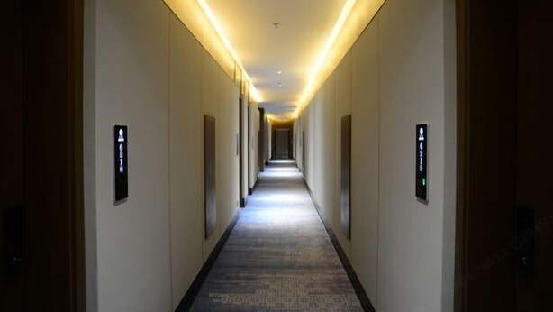 Un largo y estrecho pasillo de hotel con suelo alfombrado y paneles de pared iluminados.