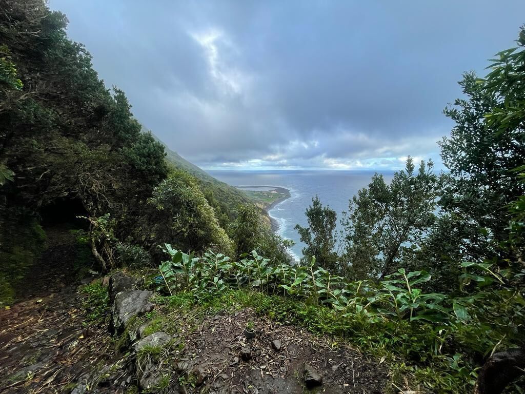 Een kustlandschap met een rotsachtig pad dat naar een strand leidt, omgeven door dichte begroeiing.