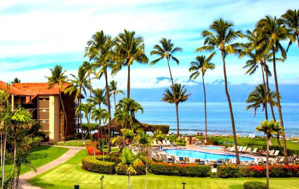 A resort with a swimming pool, palm trees, and a view of the ocean.