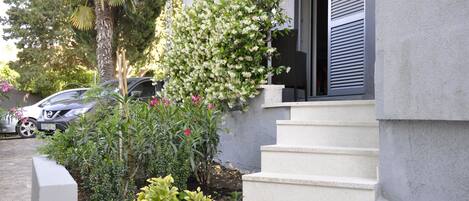 Detalle del exterior