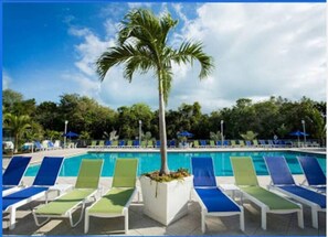 Immagine non classificata, 4 di 48, pulsante