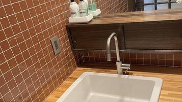 Shower, hair dryer, bidet, towels